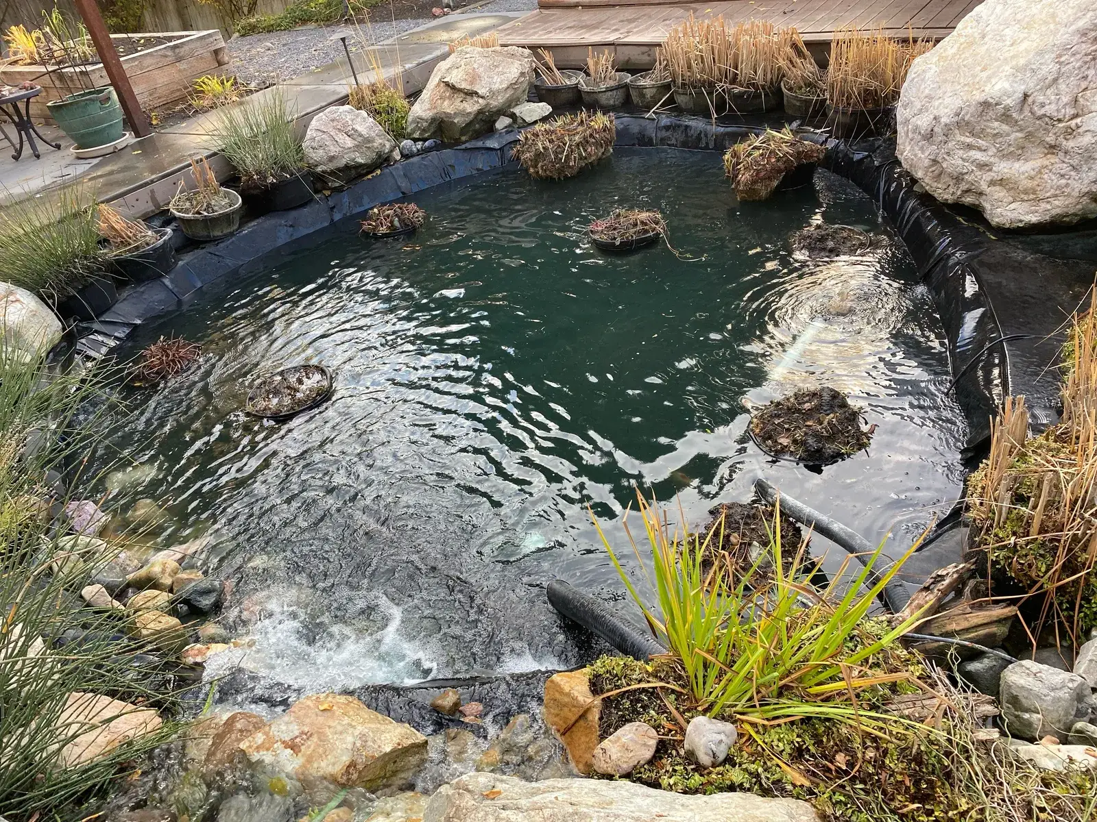 Pond Maintenance - Utah Water Gardens