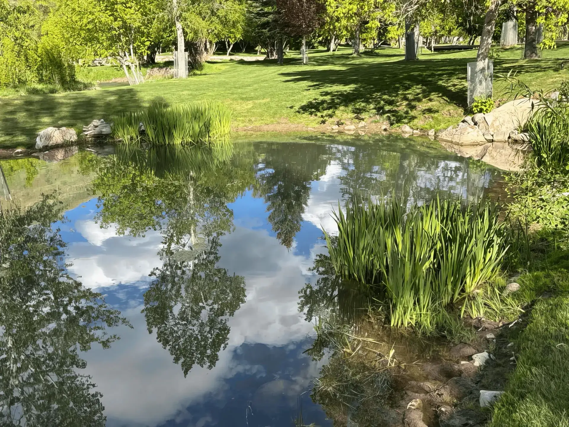 Utah Water Gardens - Professional Pond Services in Utah