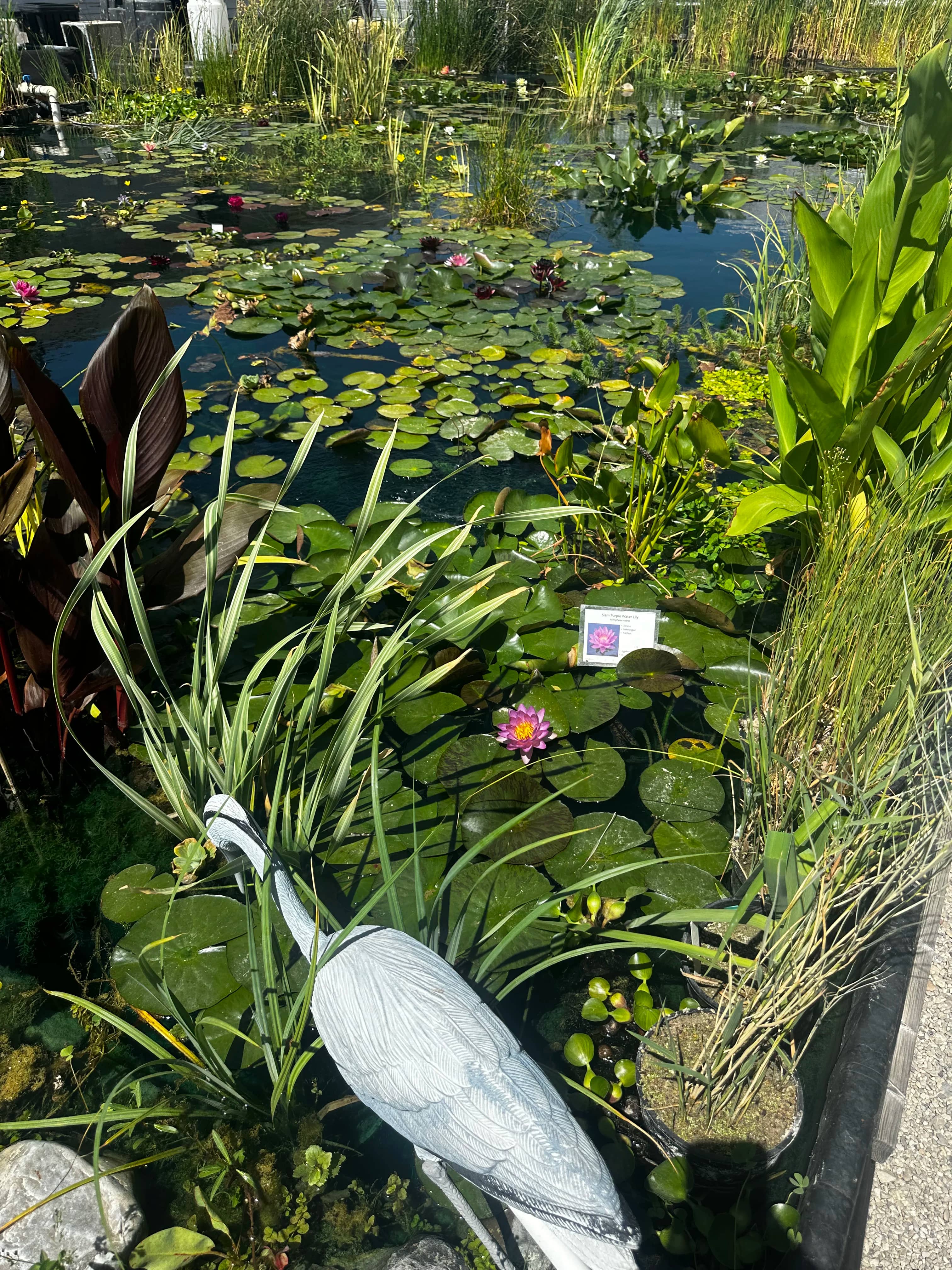 Water feature design Utah County Salt Lake City