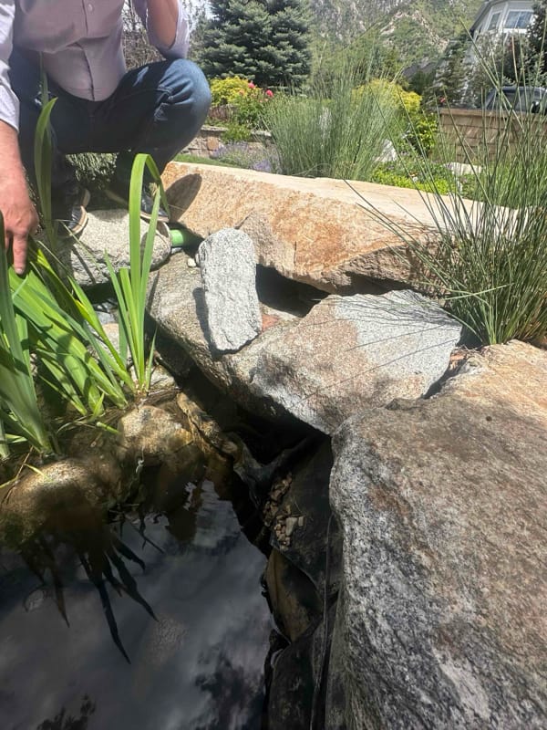 Is My Pond Leaking or Evaporating? A Utah Troubleshooting Guide - Utah Water Gardens Blog