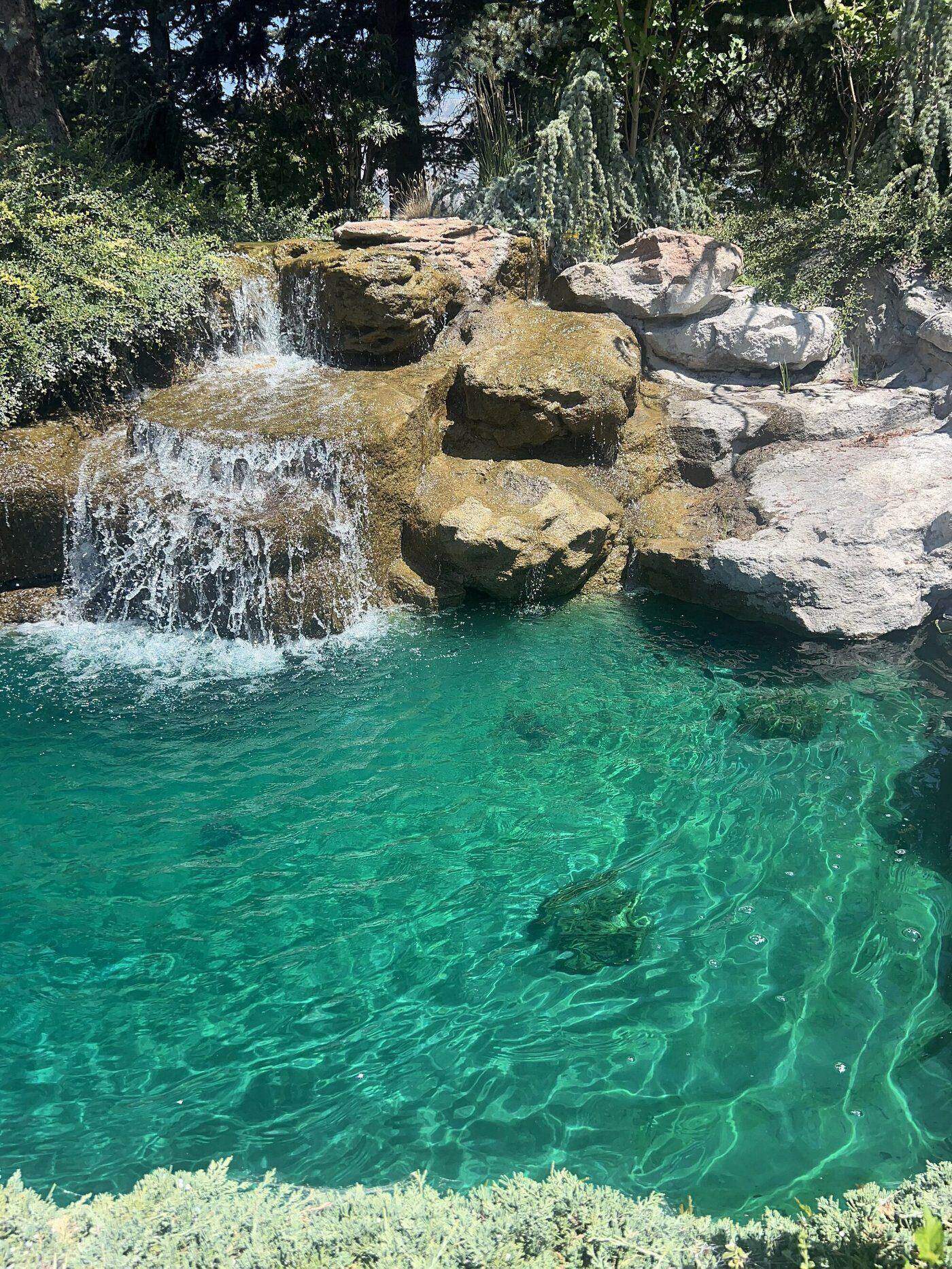Pond Treatments - Utah Water Gardens