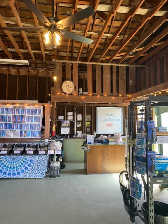 Pond supplies and equipment for DIY pond care